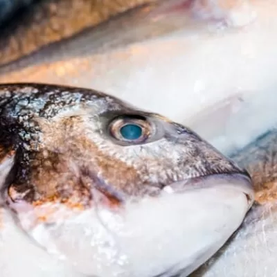 Come capire se il pesce fresco è andato a male?